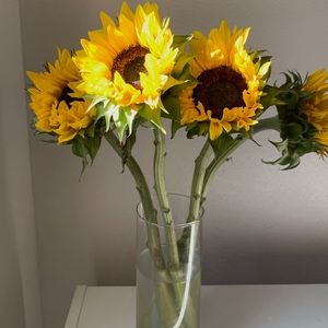 Meet your Posher, Sophia